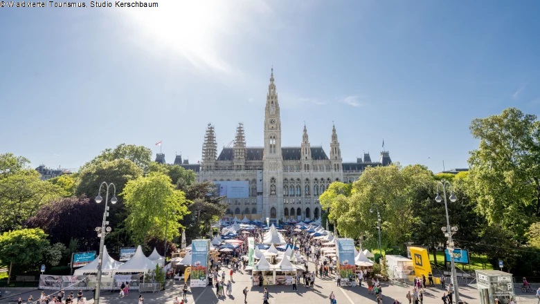 Bild-Rathaus.jpg